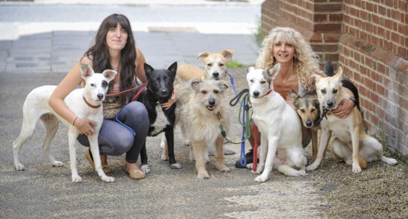 10703799_772667839459831_7325379466119437226_n