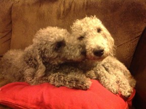 ca838c5d-f126-481f-9812-08cbb0cc154d-2