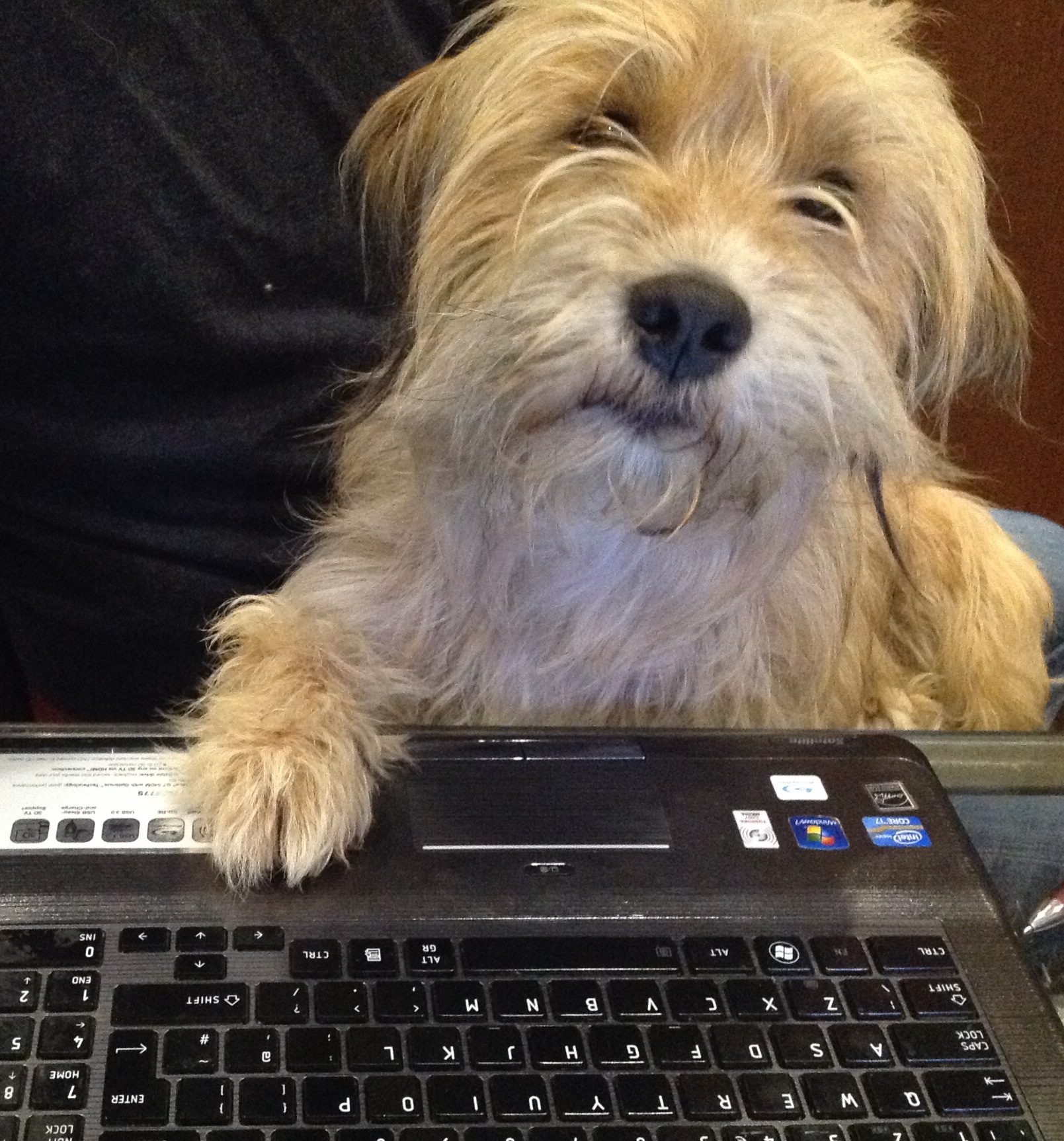fullsizeoutput_821