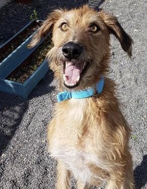 043A0FF9-10E3-4C24-B277-321321A19A52