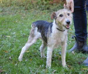 0F31F248-6A90-434A-AB20-3511410D6D80