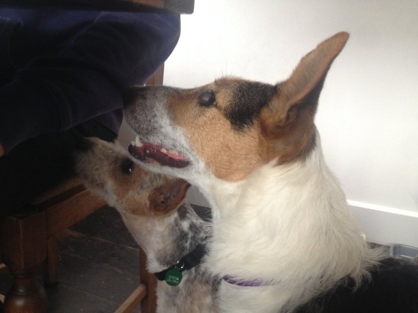 1058DD16-786A-4124-95E8-BBDDD44C4312