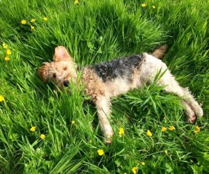 11E16906-A4E9-405E-BC8F-C67BC53A0BC7