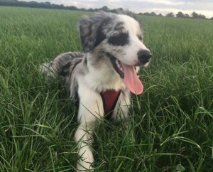 241CECFD-94C0-463B-9ED3-A4A8911CF051