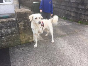 25445767-7A38-432E-B65D-06199AF6308C