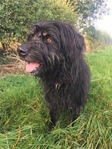 2E2A7901-58E3-4679-9DDD-32539D93E35B