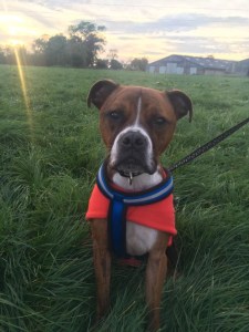 30663179-FC68-499F-A216-9D6D3EC40196