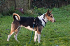 31171938-B637-4EE9-88AE-7357A231E4B6