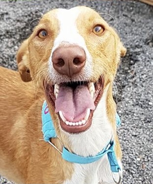 323FD5CE-44D6-4515-A75E-B7B5039DC0F9