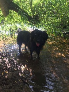 3387BC5E-1C55-4A35-B93E-59118B328109