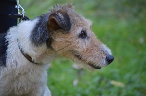 38391234-3BF8-49F9-9941-0921902E0A79