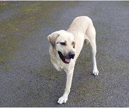 408987F3-8D91-4E1E-88D5-9C207365A70C