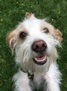 45E6948B-9CF8-4681-A095-F24261761CF5