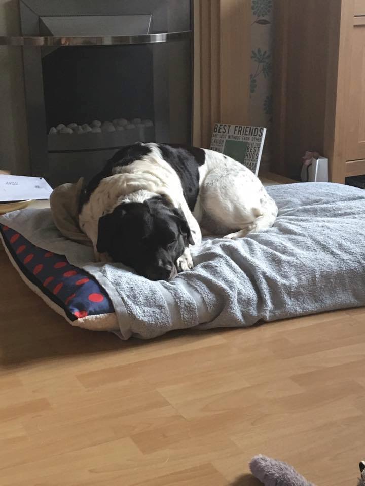 4BF7BCC1-0FCA-4A46-AC53-39E14BBA4E7E