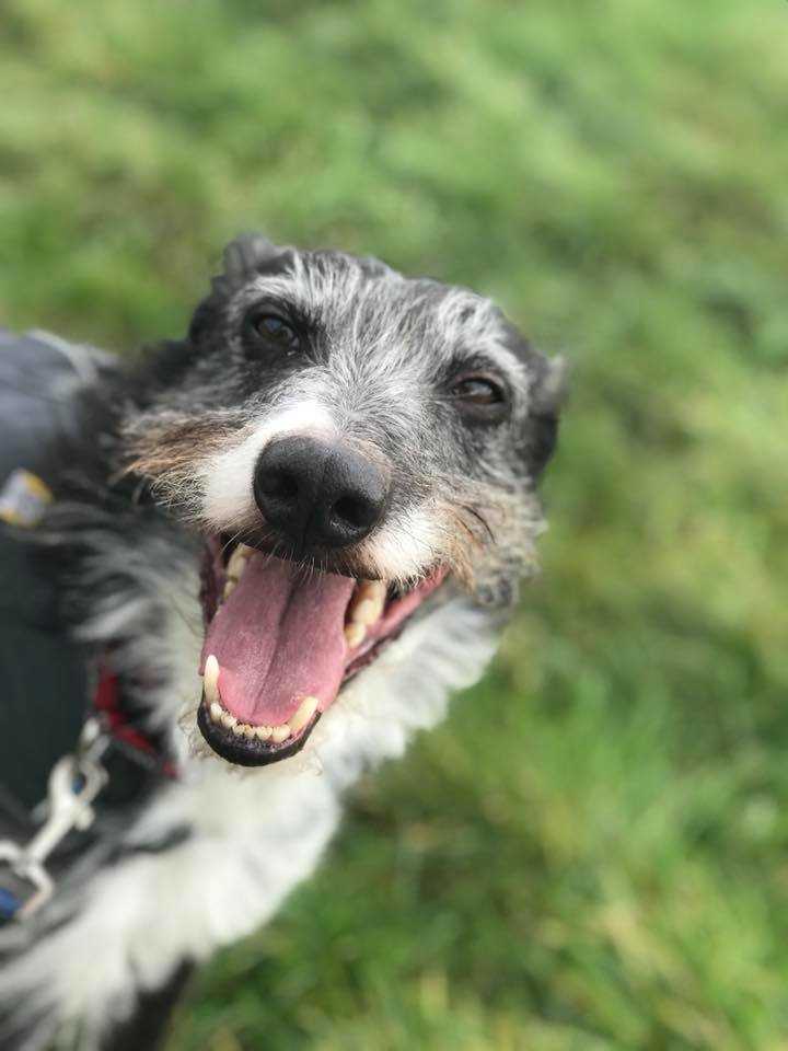 54A4CACC-A406-42C1-B742-4CF2C21209DA