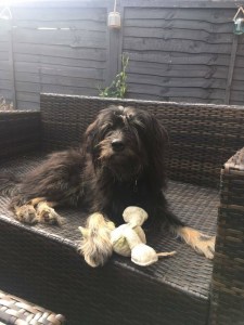 56F9569D-1697-4FB1-8CC9-9A5BA31FA270