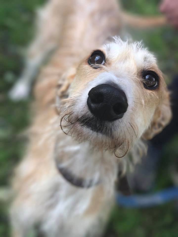 5CFEF41D-EF4E-4A4F-A214-2348779DEB52