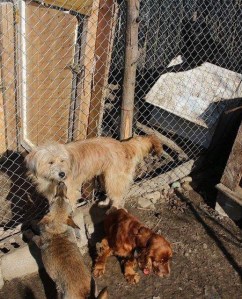 5D58288F-29C0-41F6-9780-3E41A3311F0E