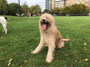 5E68AEEF-1CC5-4D30-BF35-75CA3FAB17FA