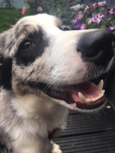 6C82D2B8-4285-4EE4-AB9F-10D2448A9A30