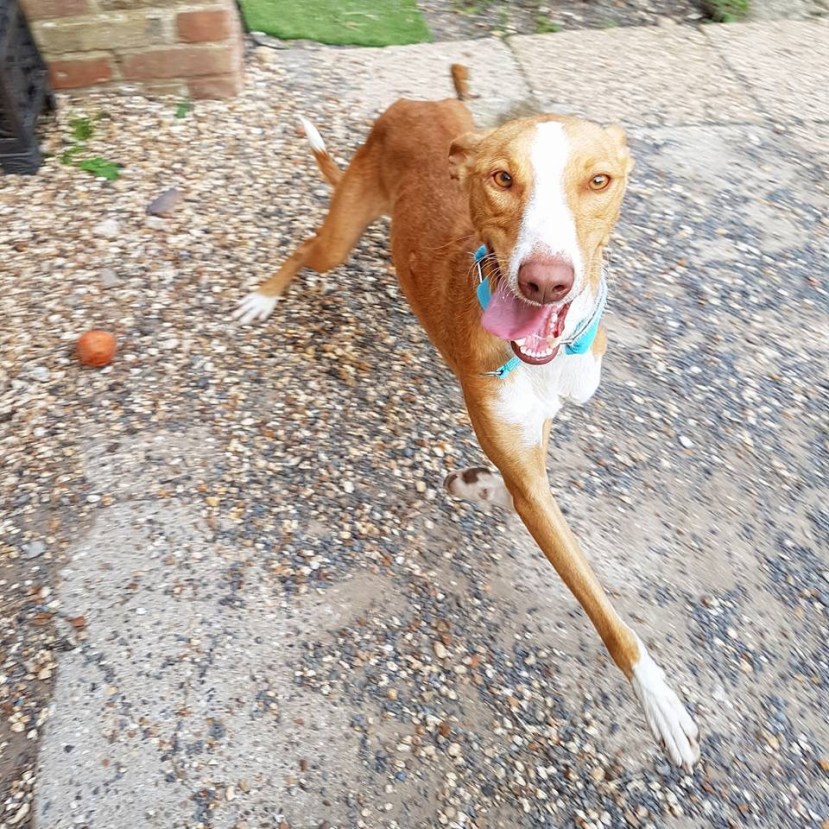 70580624-AF24-4DB6-95FC-2D71F60A4332