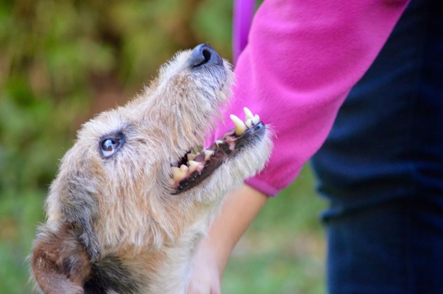 74CAFAD8-7A9F-4A57-BB8E-1C562C00C9B7