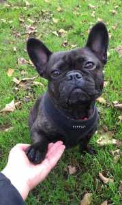 76EE8AB6-779D-4AA2-AFEE-6604266F1C97