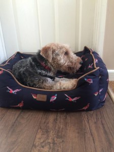 776A4E62-9F58-4B5F-A657-2B7E2CE4B1C3