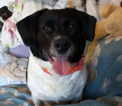 82E2958D-780A-4953-9871-1F64444BC853