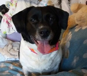 82E2958D-780A-4953-9871-1F64444BC853