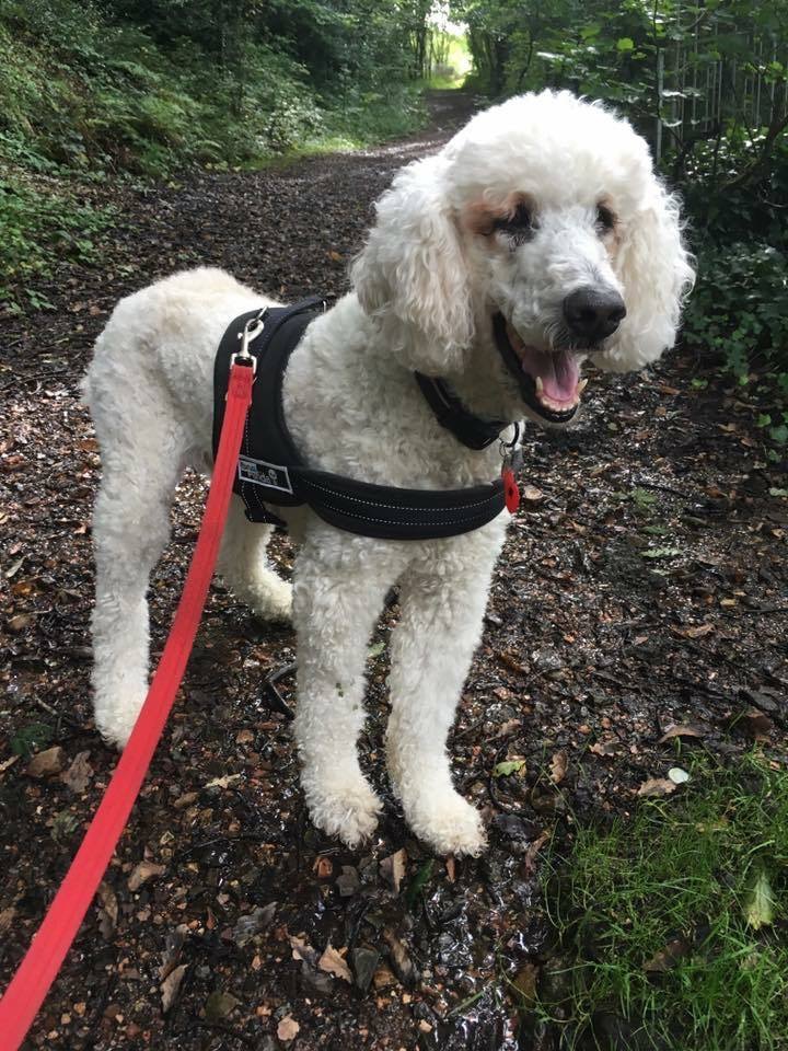 84EAB4A0-1ECA-4928-B8D1-F7FBC8B1BFDF