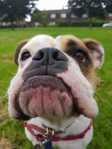 85C9F355-5063-45EF-9C3E-0F291E4D99A0