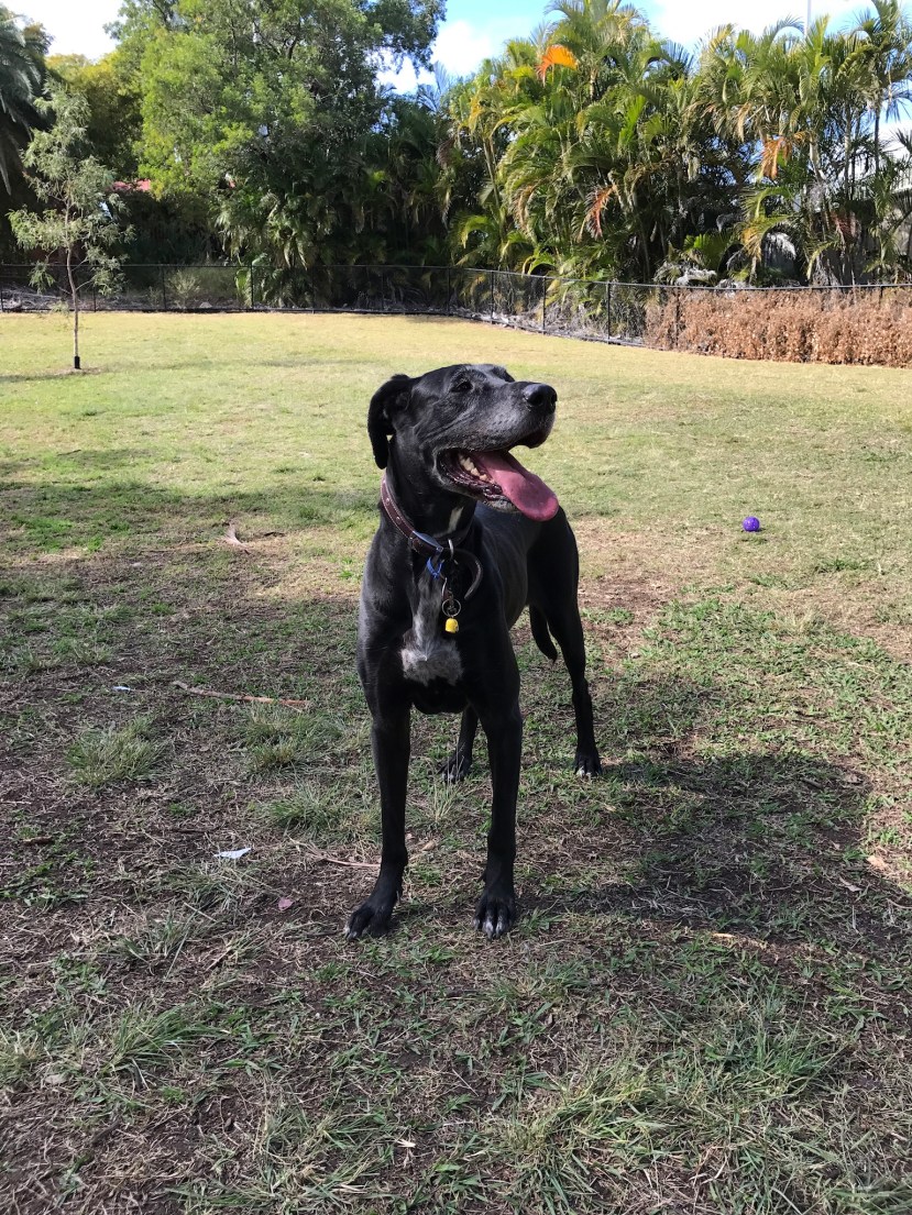 85EC3C93-B93F-4E48-B708-4A1683F576E5