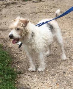 A1565FC6-EA41-4461-9CF7-76D61F9FB31D