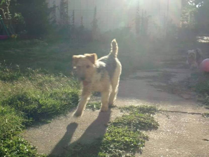 B10B4F81-3849-424F-BEBA-F17D5F00EF6F