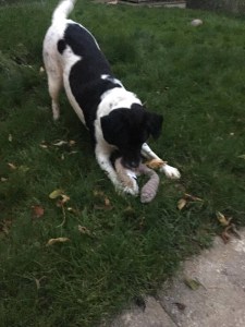 B718402A-A842-4455-BA20-D3257A03C9EE