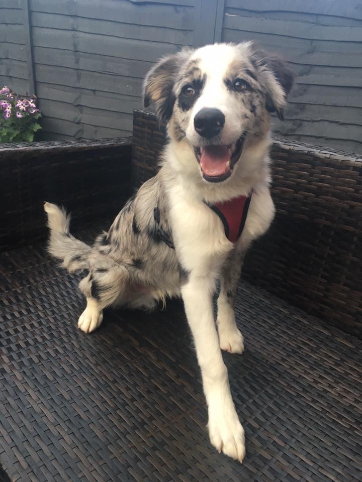 B80C3855-6A72-403C-8F46-5A20F30B97AB