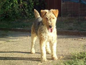 BE5050C4-CA82-4B87-8471-4BDAD1B4D744