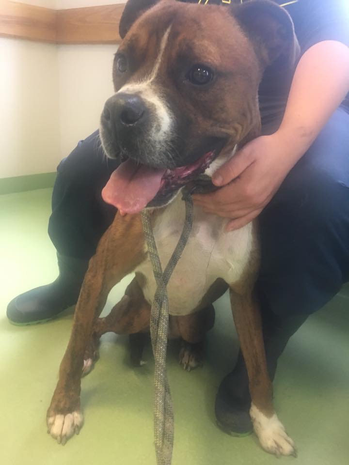 DBD64BB7-0B56-49A3-A2F1-0BBF5FEDDC5D