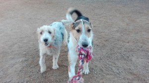 DC6DB1FD-82FD-4DB8-953D-04B01F566AD8