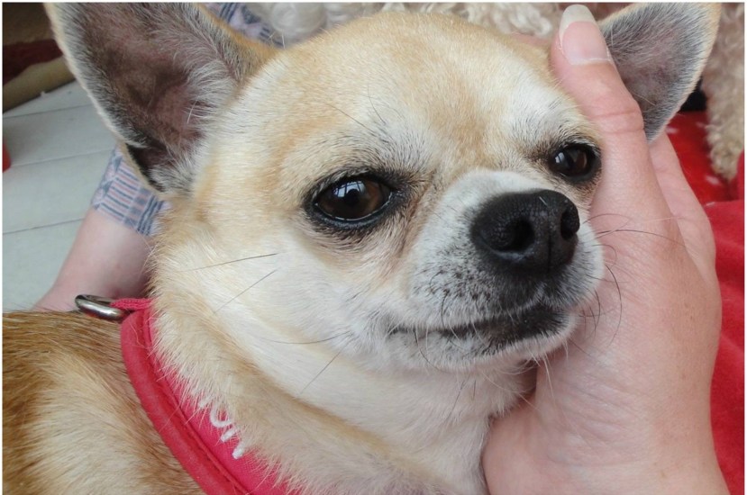 E486078D-4BDA-46AA-9D09-820C6906CA21