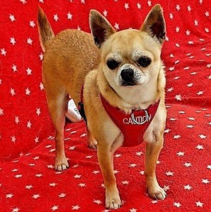 EE604835-718B-4796-9C72-881D21EDA2E3