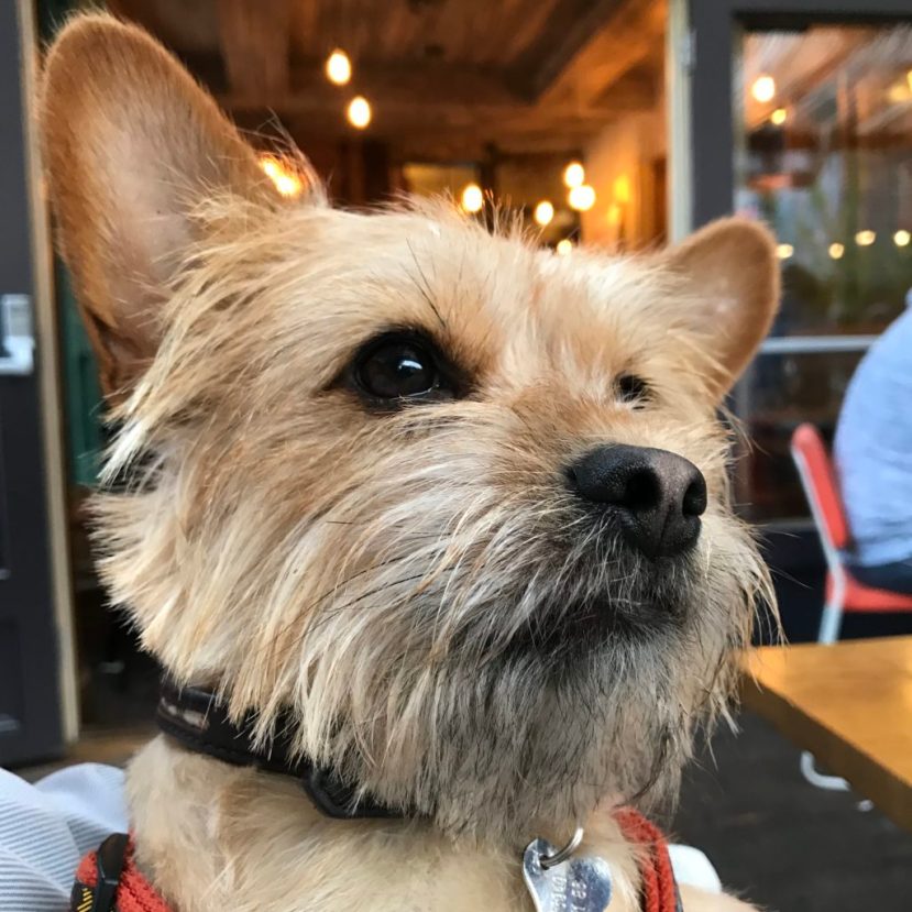 F2A32984-F14C-4BDC-8F19-2D98B3C28B64