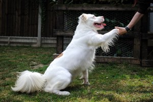 F9AEE4C0-0D76-47E6-806C-C94FA1583FB1