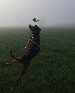 FA55230E-8E7F-406F-A618-278656AE4164