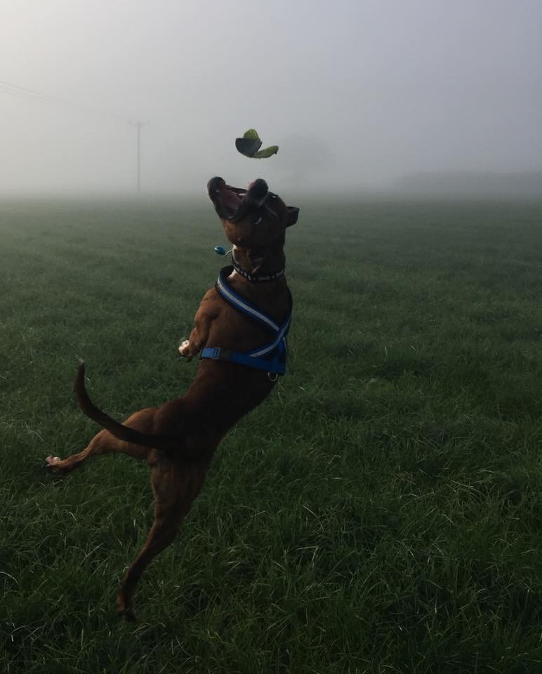 FA55230E-8E7F-406F-A618-278656AE4164