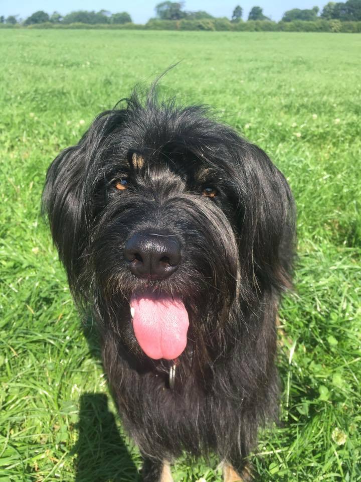 FA7DA384-5301-4A21-8119-B735B78F66A9