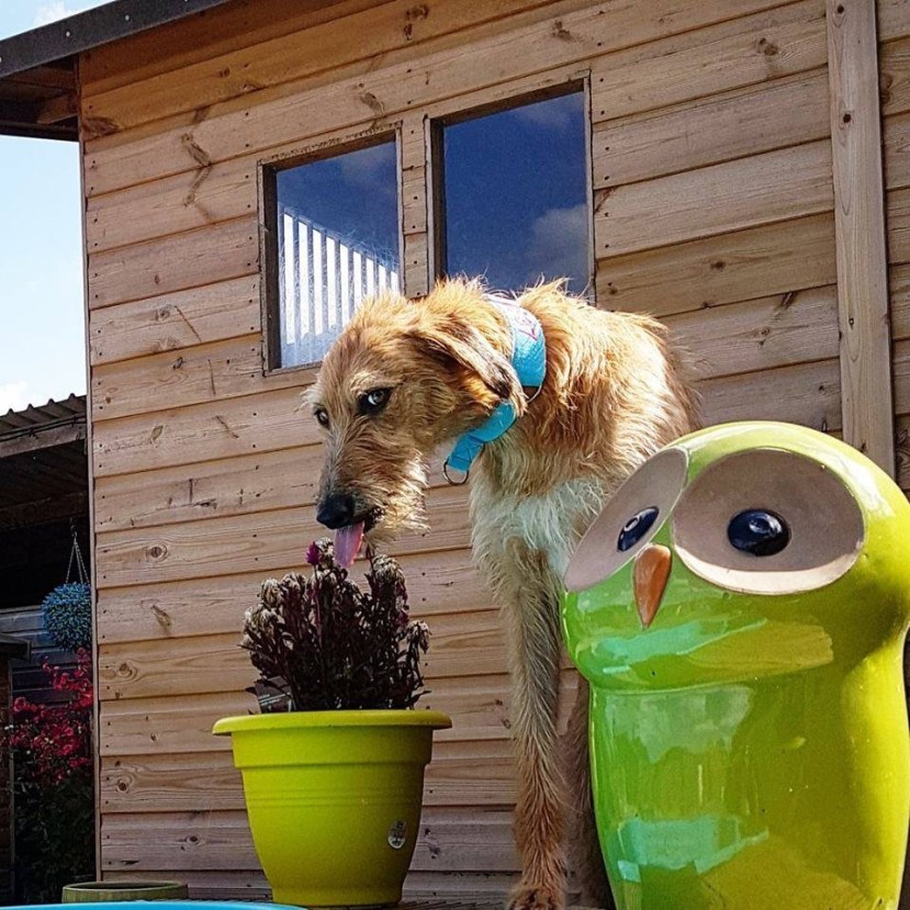 FF0120EF-42BB-445C-B79C-8D07A6487C3E