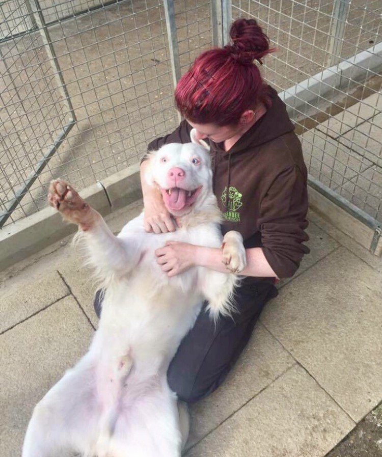 08F75CFE-E29A-439F-AFF5-60FC8E482FCD