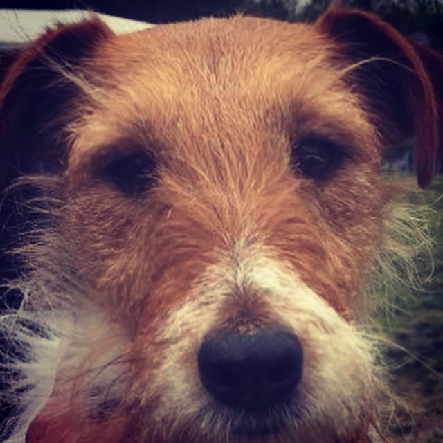 138253E4-8191-486B-81B4-91F4EBD09C2F